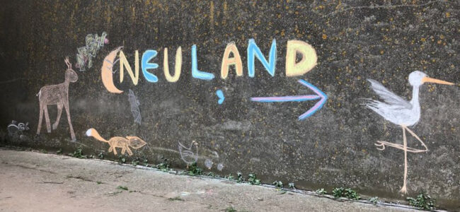 neuland_banner